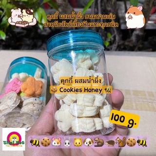 คุกกี้ ผสมน้ำผึ้ง Honey Cookies 🍯 🍪 ขนมทานเล่นสำหรับสัตว์เลี้ยงฟันแทะทุกชนิด