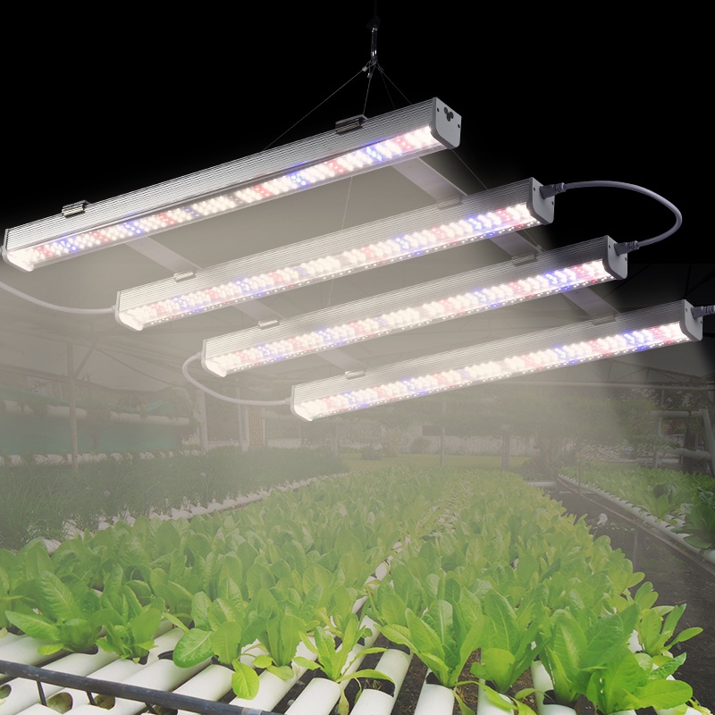 AC100277V Full Spectrum LED Grow Light ไฟบาร์ปลูกต้นไม้ 4 แถว1000W ไฟ