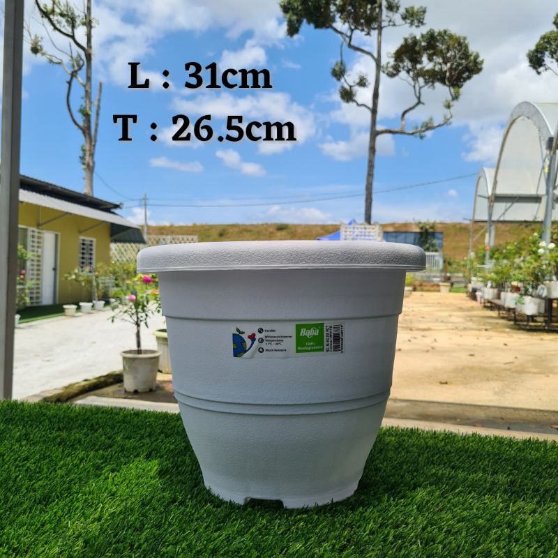 PASU BABA ELEGANT SERIES BI-EG-310