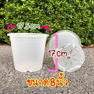 กระถางพลาสติกใส กระถางต้นไม้ ขนาด 8 นิ้ว หนามาก แข็งแรง กระถางชำรากมองเห็นรากชัดเจน