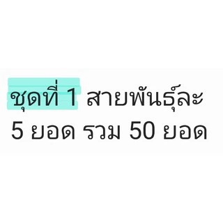 มันหวานญี่ปุ่นชุดทดลองปลูก 10 สายพันธุ์ได้100 ยอด#คุ้มมาก