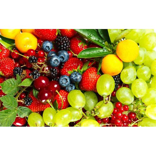 fruit fruit fruit test