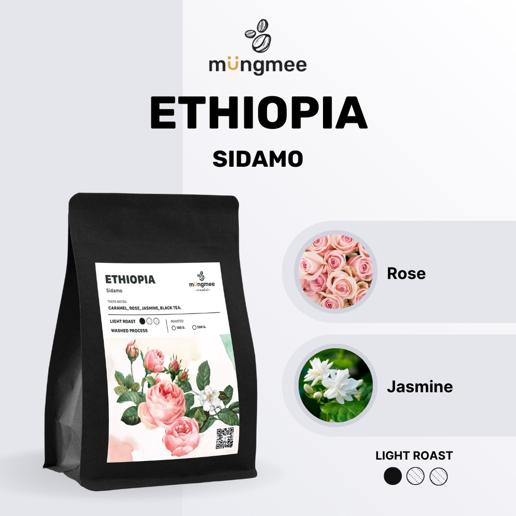 ซื้อ Mungmee Coffee เมล็ดกาแฟ คั่วอ่อน Ethiopia Sidamo G2