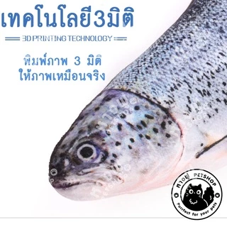 ตุ๊กตาปลา ตุ๊กตาปลา + แคทนิป ปลาแคทนิป ของเล่นแมว TOD1