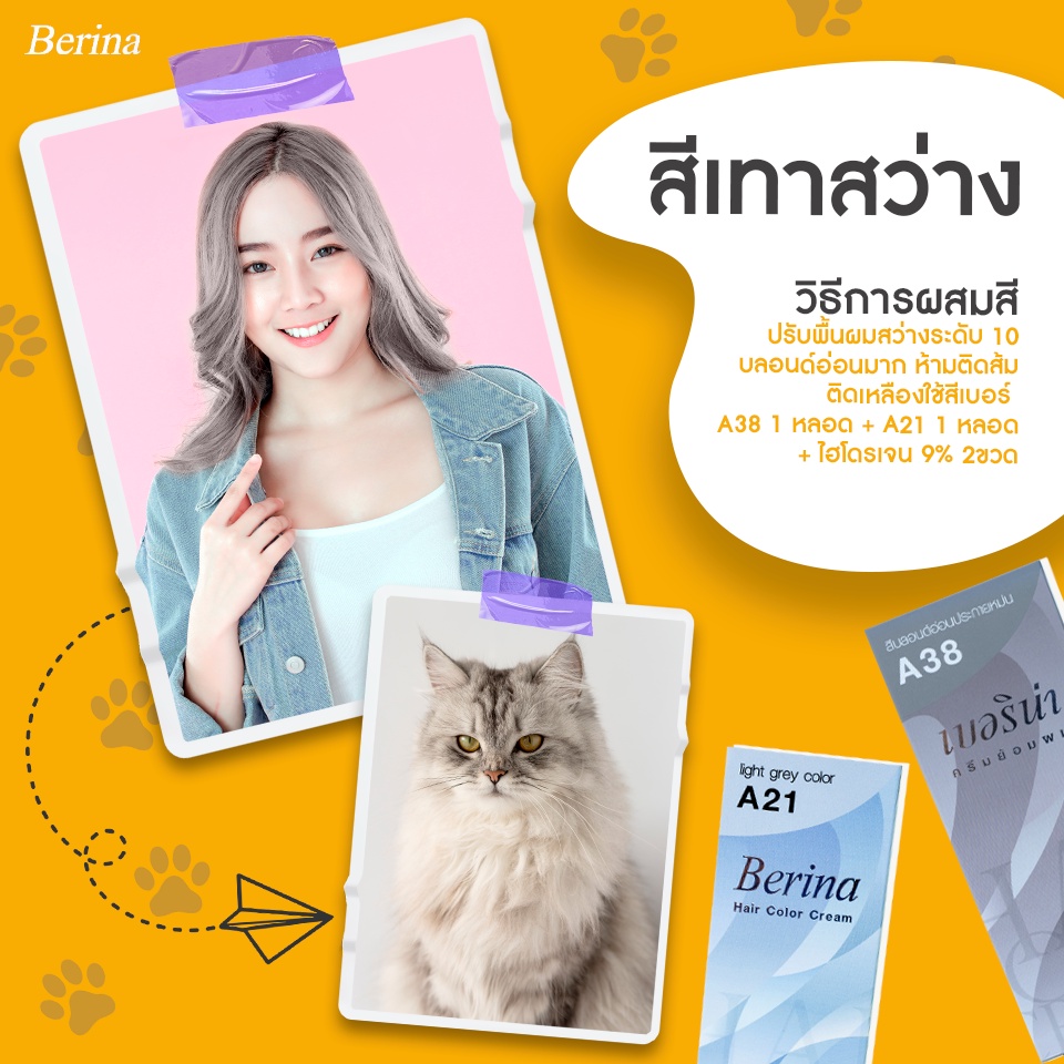 Berina(เบอริน่า) ยาย้อมผม ครีมย้อมผม เบอริน่า สีเทาสว่าง ใช้สีเบอร์ A38+ A21