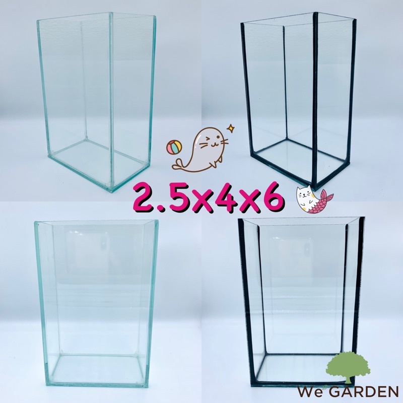 ร้านใหม่🎉โหลปลากัด 2.5x4x6 กระจก 3 มิลลิเมตร พร้อมส่ง‼️