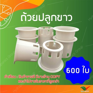 ถ้วยปลูกผักไฮโดรโปนิกส์ใช้ซ้ำ 1 ชุด จำนวน 600  by hydroponicgroup