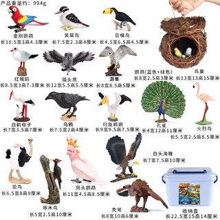 โมเดล โมเดลนก ฟิกเกอร์ นก นกอินทรี ตุ๊กตา โมเดลสัตว์ Birds Model Bird animal Figures Mini Miniature โมเดลนกฮูก นกจำลอง