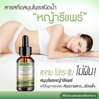 (สินค้ามีพร้อมส่ง) สมุนไพรหญ้ารีแพร์ (Centotheca lappacea (L.) Desv.) ชนิดน้ำ ขนาด 25 มล.