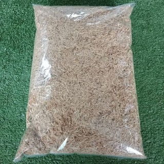 1 kg. แกลบดิบ แกลบข้าว Rice bran ใช้ผสมดินเพื่อการหมักดิน คลุมหน้าดิน