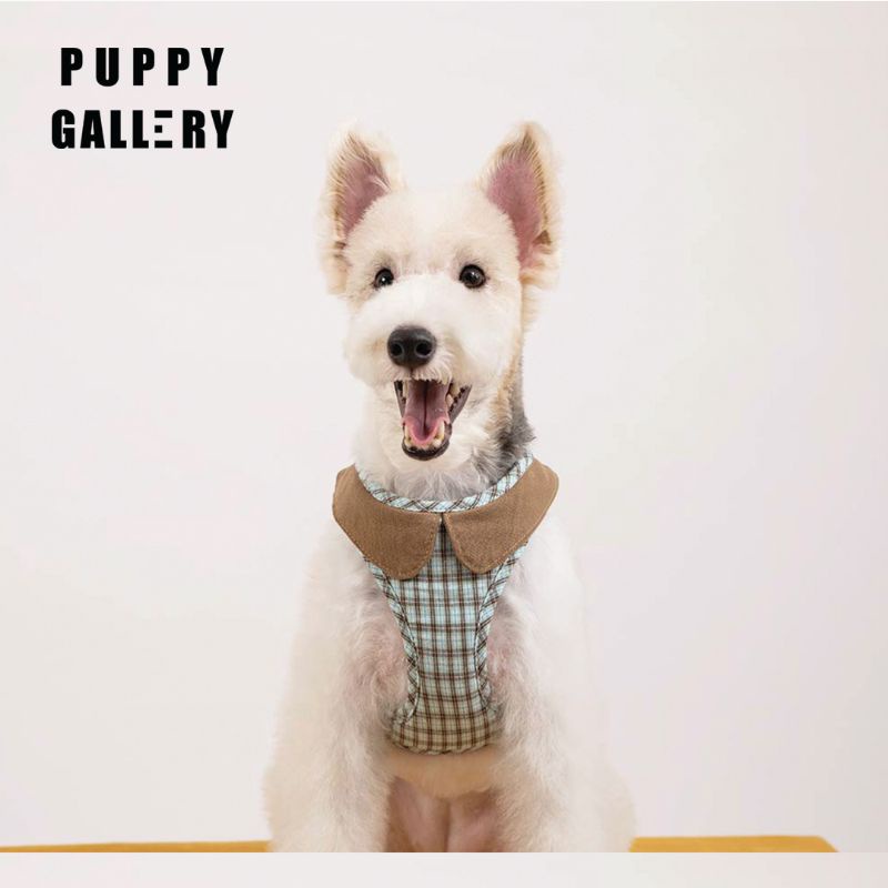 Puppy Gallery  เสื้อรัดอกสุนัข สายรัดอกสุนัข เสื้อสายจูงสุนัข รุ่นคอปก Marron Check Collar Harness สไตล์เกาหลี รูปที่ 5