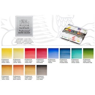 Winsor and newton professional water colour black box -12 half pans I ชุดสีน้ำก้อนสำหรับมืออาชีพ 12 สี