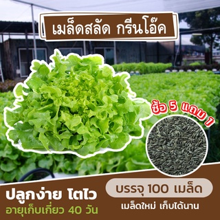 เมล็ดพันธุ์ สลัดกรีนโอ๊ค แบ่งขาย 100 เมล็ด (ซื้อ 5 แถม 1)✨