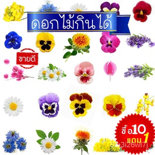 อินทรีย์ ต้น ดอก/ดอกไม้กินได้ถูกที่สุด10บ.เมล็ดพันธุ์ดอกไม้กินได้10-200เมล็ดปลูกง่ายกินได้ดอกสวย DMBI