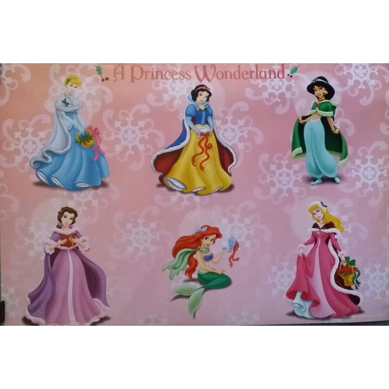 poster @69 Princess Disney เจ้าหญิง รูปภาพ การ์ตูน