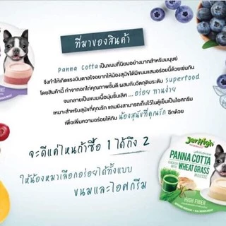 CatHoliday เจอร์ไฮ พานาคอตต้า Jerhigh Panna Cotta Mousse มูสแบบถ้วย ขนมสุนัข