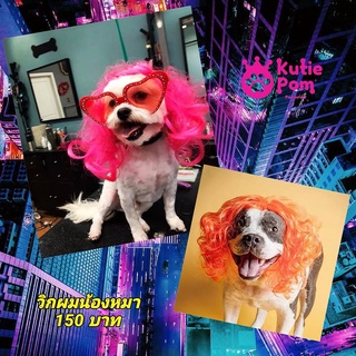 Kutiepom วิกผมน้องหมา น้องแมว สำหรับพันธุ์เล็ก Pet Wig for Cat Dog