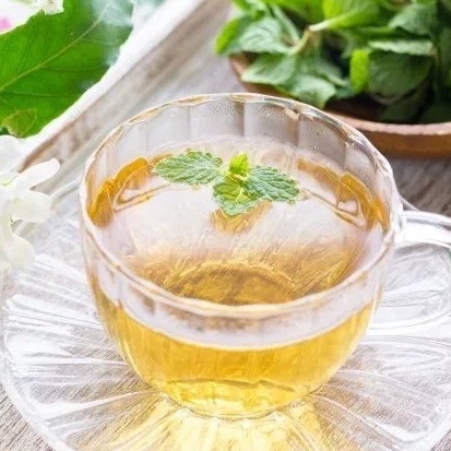 เมล็ดพันธุ์ มิ้นญี่ปุ่น สเปียร์มินต์ มิ้นท์ญี่ปุ่น (Japanese mint ) ตัวเลือก 200 เมล็ด [10 แถม 1 คละได้] ราคา ถูกที่สุด ดีลบีเคเค แกลเลอรีภาพที่ 4
