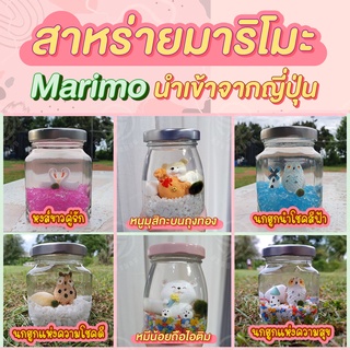 Marimo มาริโมะ สาหร่ายนำเข้าจากญี่ปุ่น พร้อมขวดโหลแก้ว เซ็ทมาริโมะตุ๊กตาหนูมงคล