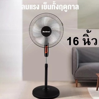 Moidnei พัดลม 16 นิ้ว 5ใบพัด (สีดำ)  พัดลมตังพื้น  พัดลมตั้งโต๊ะ พัดลมตั้งโต้ะ พัดลมตังพื้่น พัดลมระบายอากาศ