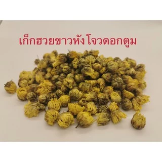 เก๊กฮวยขาวดอกตูมของหางโจวเกรด A 杭白菊胎菊 Baby Chrysanthemum from Hangzhou