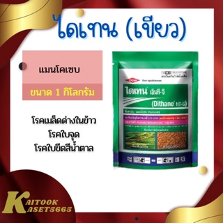 ไดเทน เอ็นที-จี 1 กิโลกรัม แมนโคแซบ80% แมนโคเซบเขียว ไดเทนเขียว ยาเชื้อรา ราน้ำค้าง เมล็ดด่าง