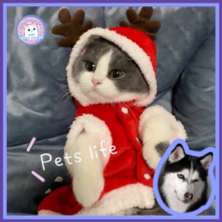 🐾Hi Pet🐾Pet antler clothesสัตว์เลี้ยงสวัสดีปีใหม่เสื้อผ้าแมว เสื้อผ้าสัตว์เลี้ยงคริสต์มาสกวาง ชุดสุนัขเขามังกรกำมะหยี่