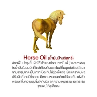 NOWSO Golden Horse oil cream 1 กระปุก นาวโซ ครีมน้ำมันม้าทองคำ ผลิตและนำเข้าจากประเทศเกาหลี