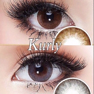 Kurly Gray/Brown