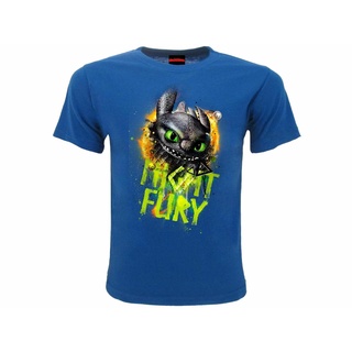 เสื้อยืด พิมพ์ลาย Dragon Trainer Jersey Night Fury Boy สีฟ้า แฟชั่นสําหรับเด็กผู้ชายS-5XL