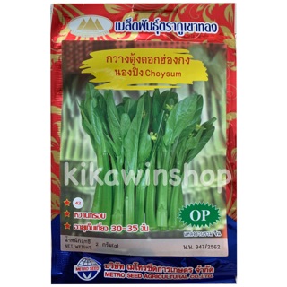 เมล็ดพันธุ์ กวางตุ้งดอกฮ่องกง นองปิง (10 แถม1 คละได้)