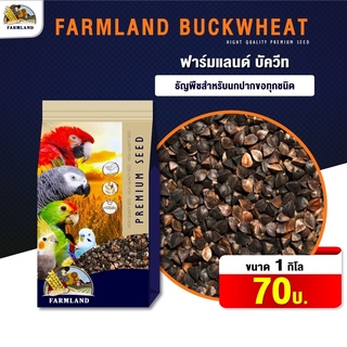 Farmland buckwheat อาหารสัตว์ อาหารนก บัควีท ฟาร์มแลนด์ ธัญพืชสำหรับนกปากขอทุกชนิด (1kg)