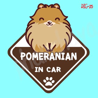 DIC25 สติ๊กเกอร์ ติดรถ Pomeranian Dog In Car สติ๊กเกอร์ติดรถ แต่งรถ car sticker