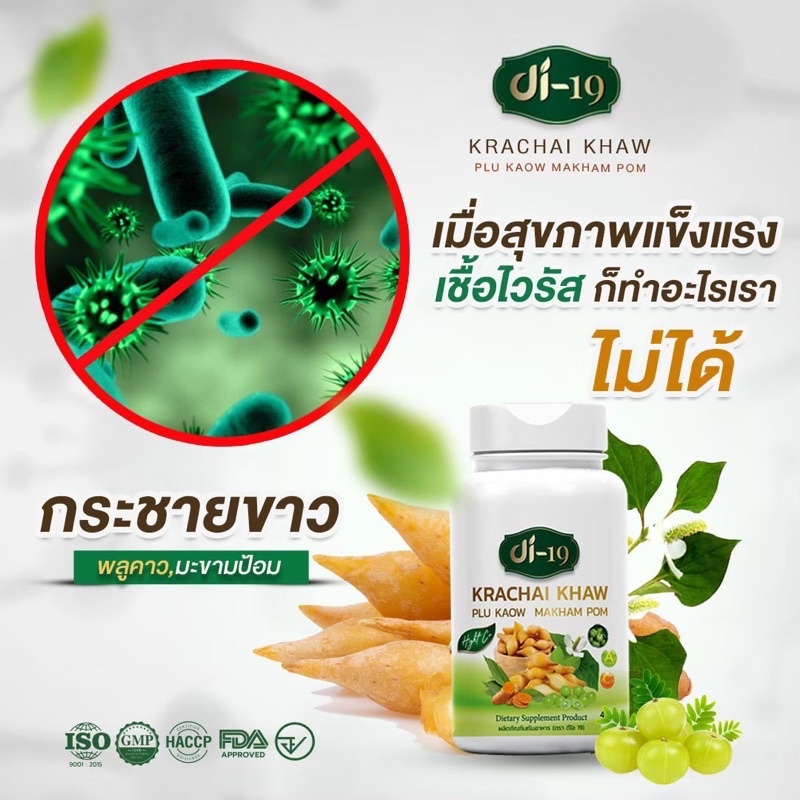 🦠พร้อมส่งคะ🦠 กระชายขาว Di19
