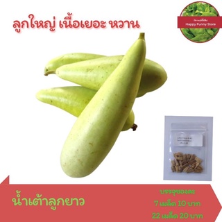 เมล็ดพันธ์ุบักแนบ บักน้ำ น้ำเต้ายาว 22 เมล็ด 20 บาท