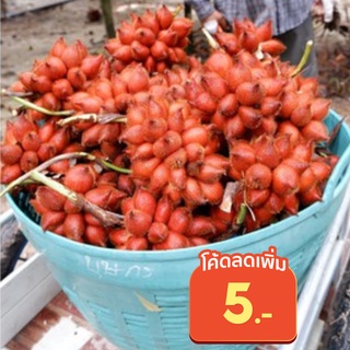 ราคาสละสุมาลี 5-8 โล เกรดเต็มช่อ/ไม่เต็มช่อ ลดพิเศษ!!!