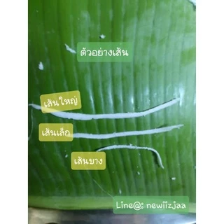 หัวขูดมะพร้าวแบบเส้น เส้นฝอยใหญ่(เบอร์3) (สำหรับใช้งานกับสว่าน) อุปกรณ์ทำขนมไทยและเบเกอรี่