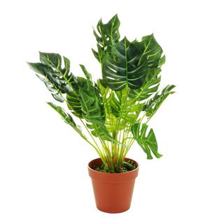 🚚💨ไม่ใช้แล้วจะเสียใจ!! ต้นพลูฉีกประดิษฐ์ LALA HOME 37 ซม. ARTIFICIAL MONSTERA DELICIOSA LALA HOME 37CM สินค้าคุณภาพสูง