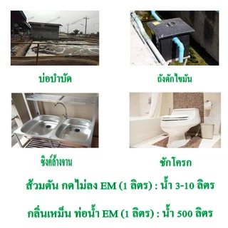 EM หัวเชื้อจุลินทรีย์อีเอ็ม ขนาด 20 ลิตร สูตรเข้มข้นแก้ปัญหาส้วมอืดดับกลิ่นเหม็นช่วยย่อยสลายคราบไขมันในบ่อบำบัด