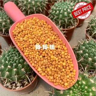 1kg ออสโมโค้ท 13-13-13 ปุ๋ยละลายช้า สูตรบำรุงต้นสมบูรณ์ แบ่งใส่ถุง ราคาถูก (Osmocote)