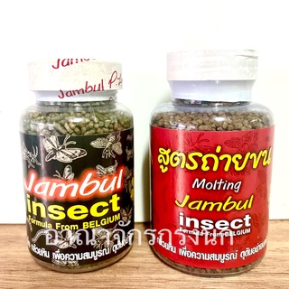 อาหารนกกรงหัวจุก จัมบูล อินเซค Jumbul Insect จัมบูลแมลง แบบขวด 2 สูตรนิยม