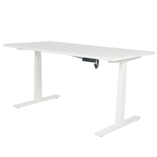 Desk STANDING DESK ERGOTREND SIT 2 STAND GEN2 120CM WHITE Office furniture Home &amp; Furniture โต๊ะทำงาน โต๊ะทำงานปรับระดับ