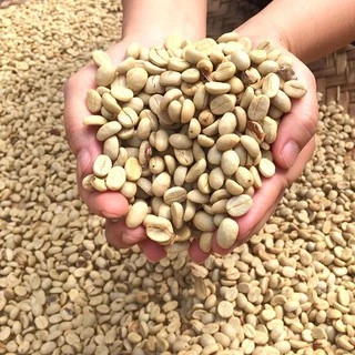 Davinci Medium Dark Roasted (เมล็ดกาแฟไทย)