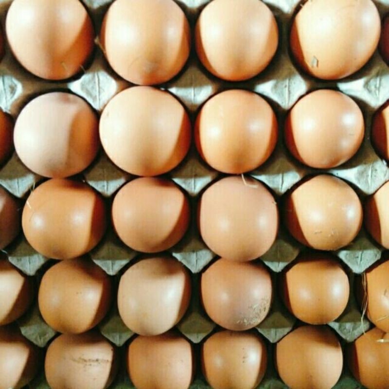 ไข่ไก่จากแม่ไก่อารมณ์ดี. ไข่ออแกนิก 1 แพค30 ฟอง .....