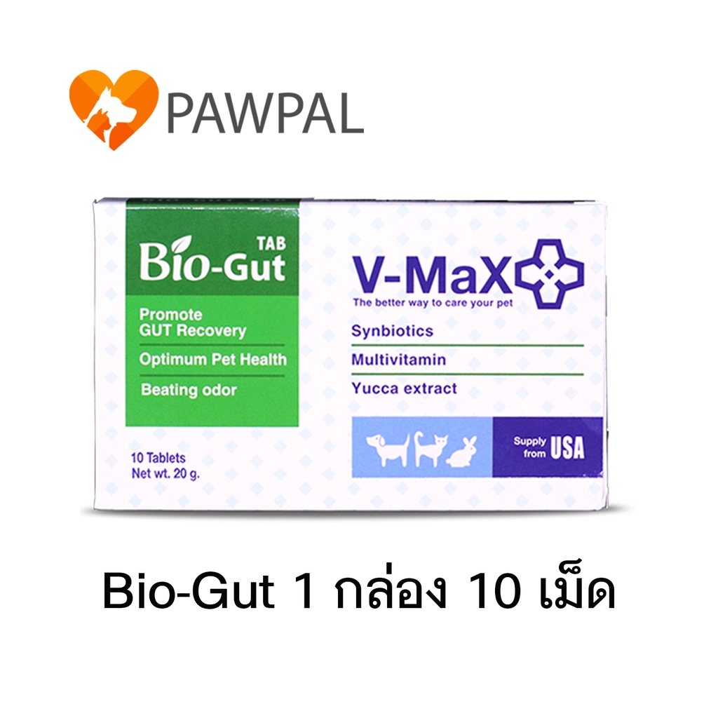 V-max Bio-Gut 20 g Probiotics โพรไบโอติก อาหารเสริม ปรับสมดุลลำไส้ ท้องเสีย ท้องผูก (1 กล่อง 10 เม็ด
