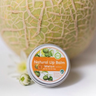 Ira Natural Lip Balm: Melon ลิปแก้ปากดำ ลิปบาล์มไอรา ลิปมันแก้ปากดำ ลิปออแกนิค ลิปบาล์มออแกนิค