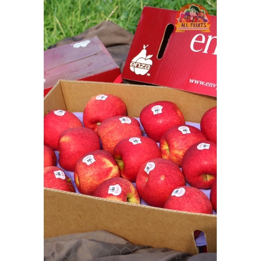 แอปเปิ้ลเอ็นวี้ Apple envy New Zealand . หวานกรอบฉ่ำๆ ส่งไวทันใจ ...