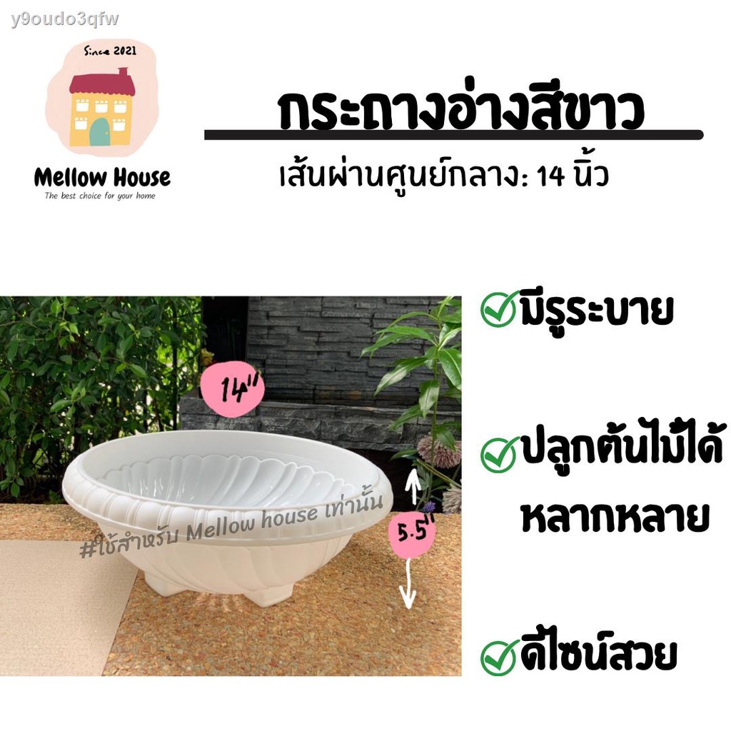 My Image 31