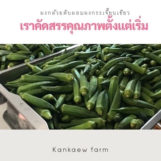 ผงกล้วยน้ำว้าดิบ ผสม ผงกระเจี๊ยบเขียว ขนาด100กรัม,200กรัม,500กรัม