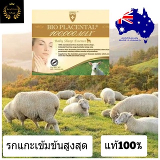 รกแกะ100000 เข้มข้นสูงสุด หมดอายุ 07/2026  bio sheep placental รกแกะ sheep placenta wealthy รกแกะเม็ด รกแกะออสเตรเลีย